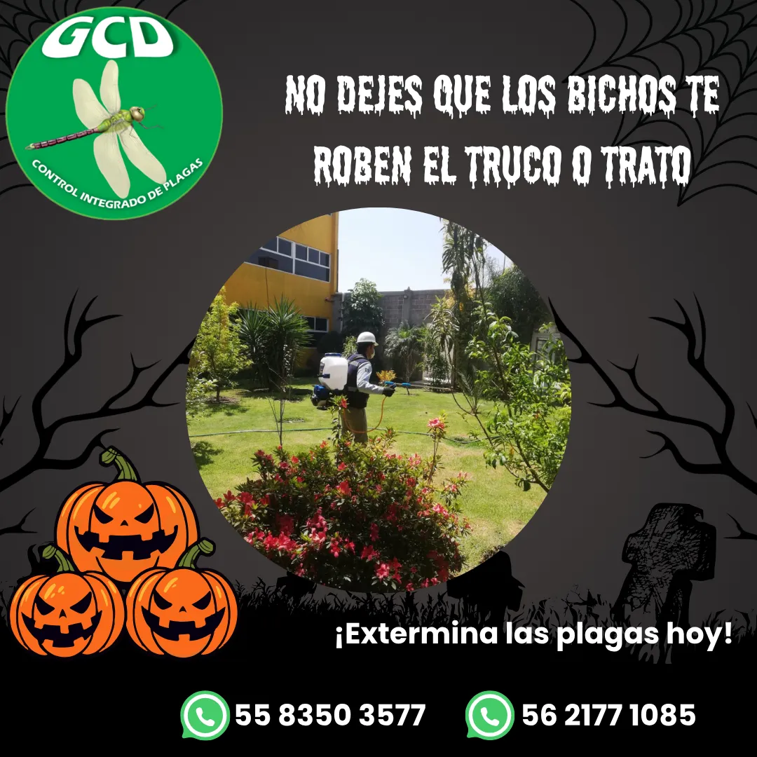 Diseño 124