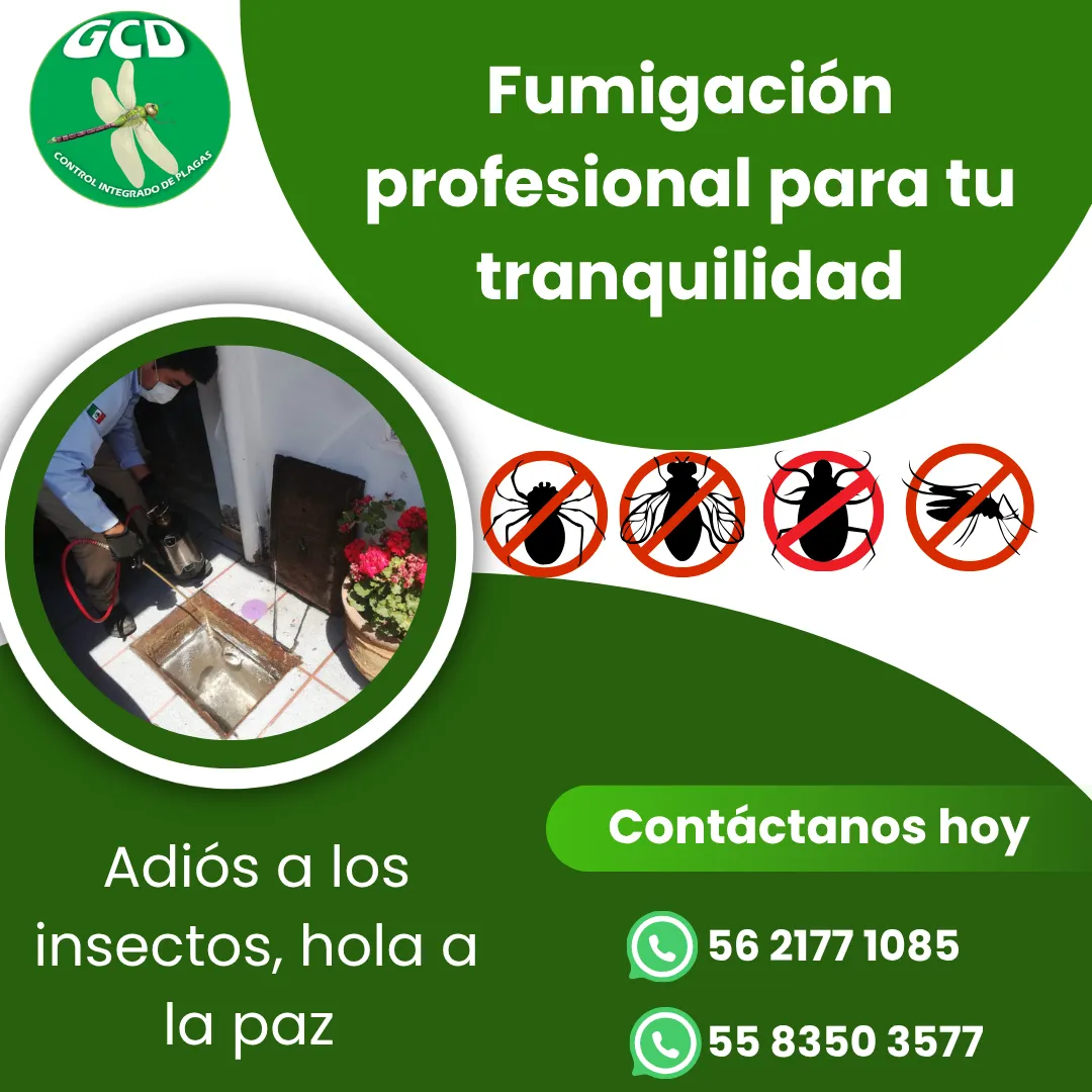 Diseño 57