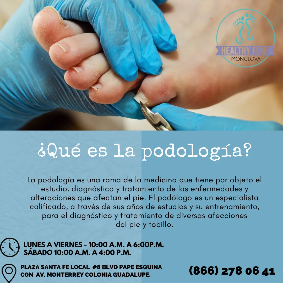 Diseño 5