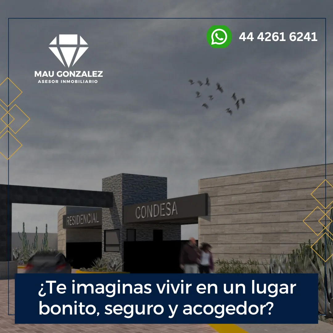 Diseño 52