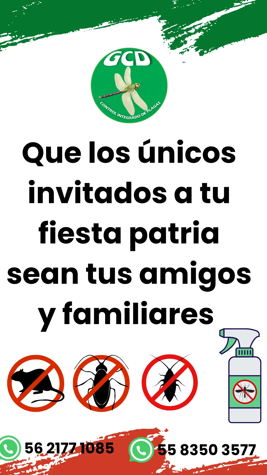 Diseño 67