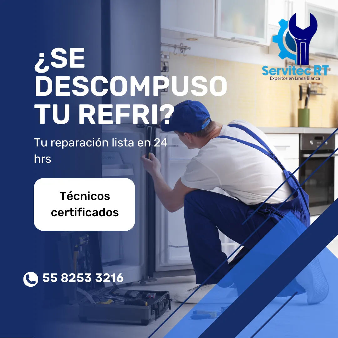 Diseño 6
