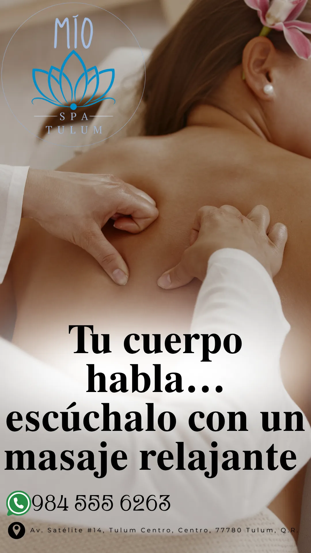 Diseño 21