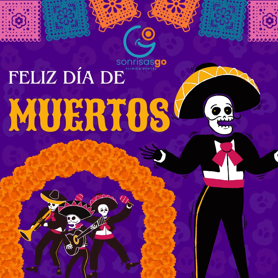 Diseño 12