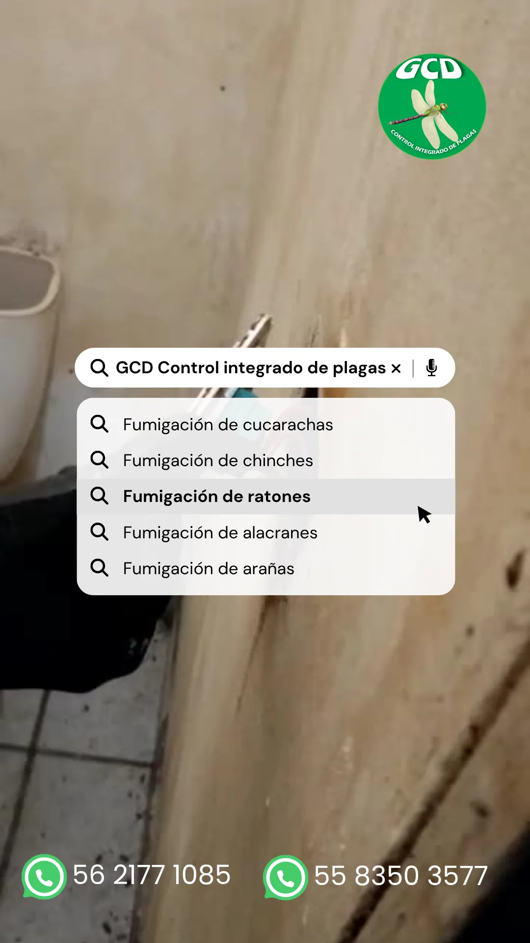 Diseño 3