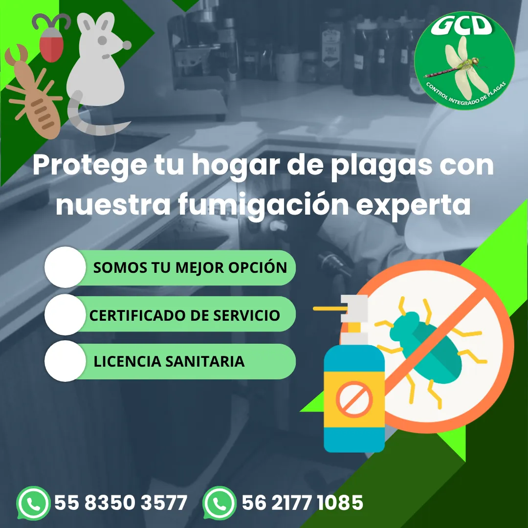 Diseño 70