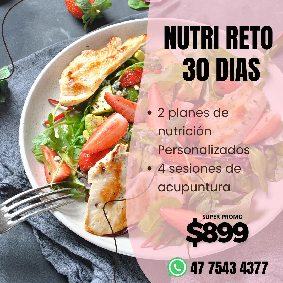 Diseño 53