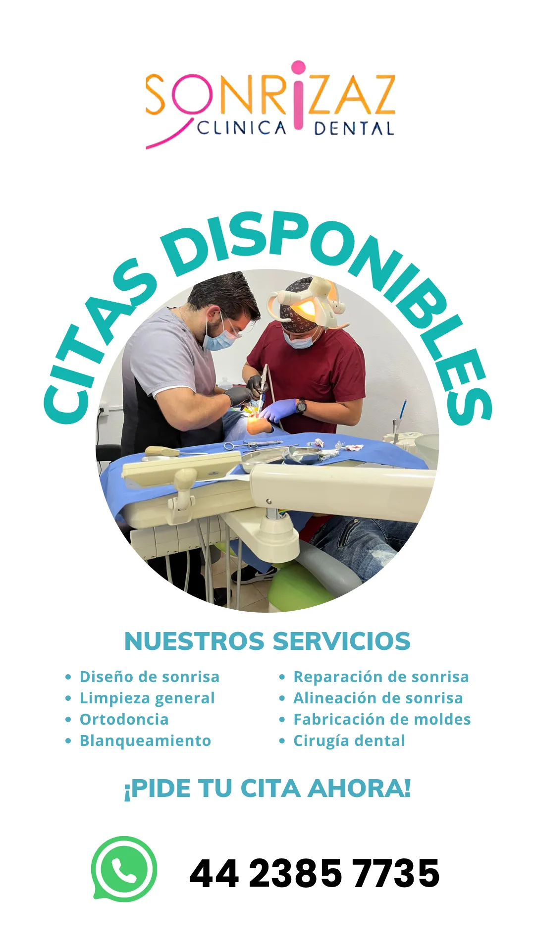 Diseño 49
