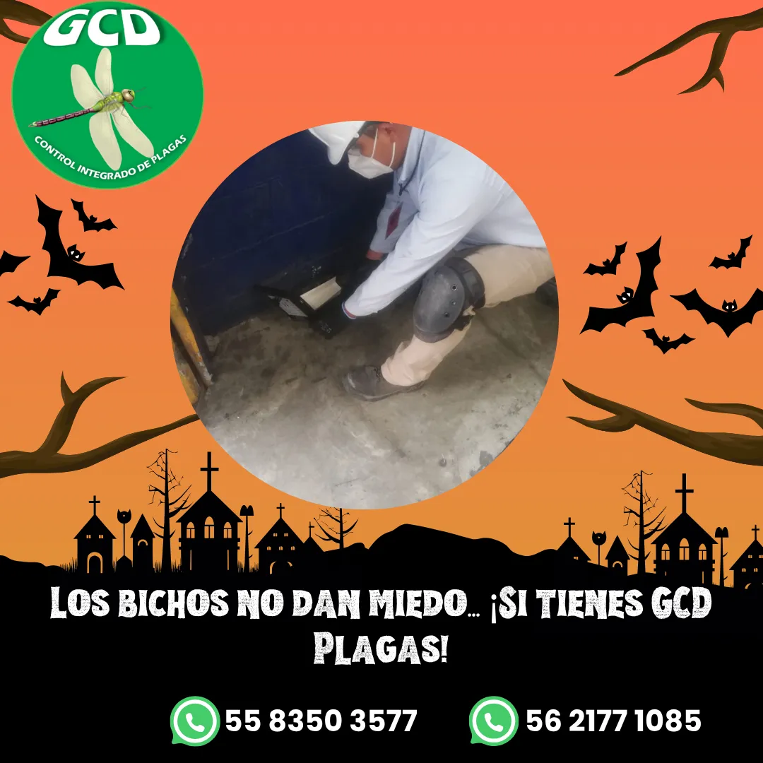 Diseño 128