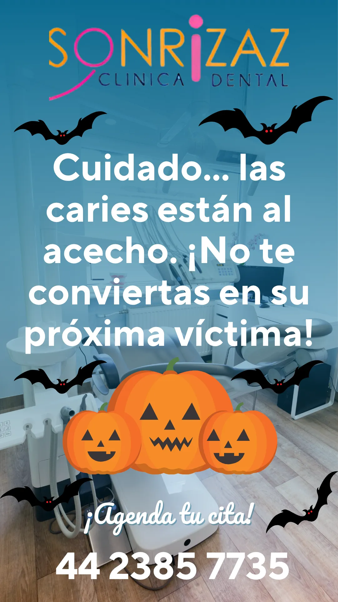 Diseño 142