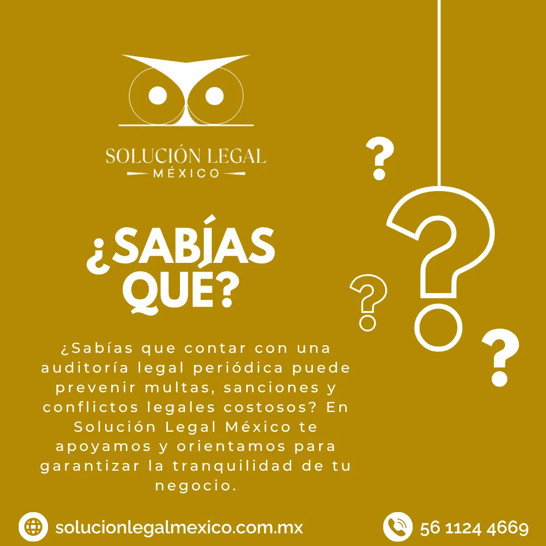 Diseño 19