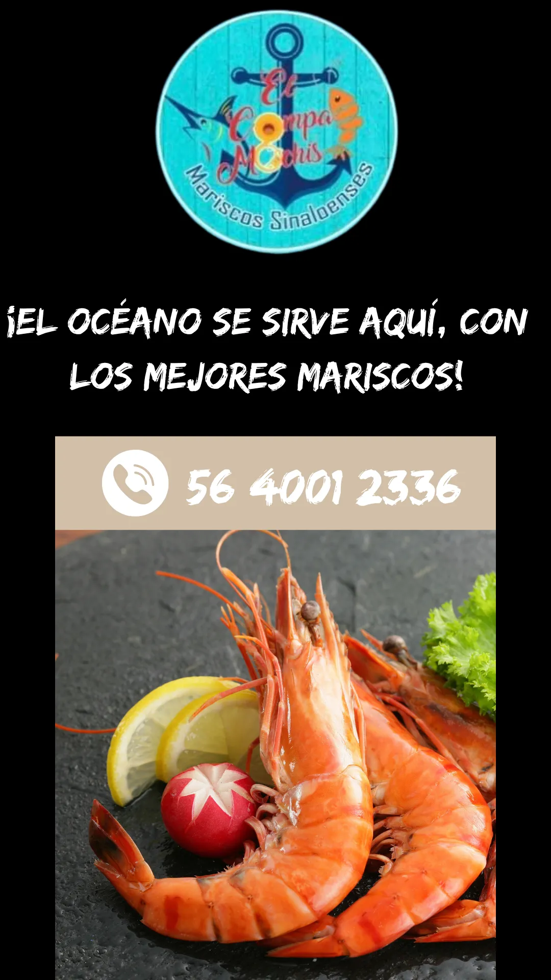 Diseño 14
