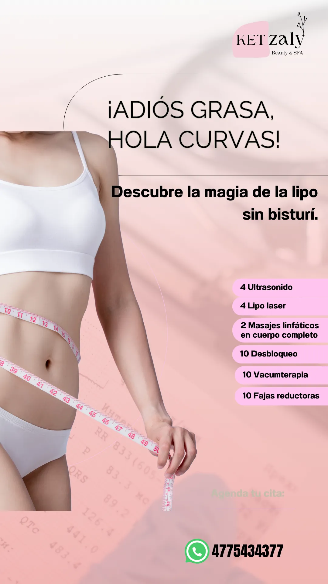 Diseño 47