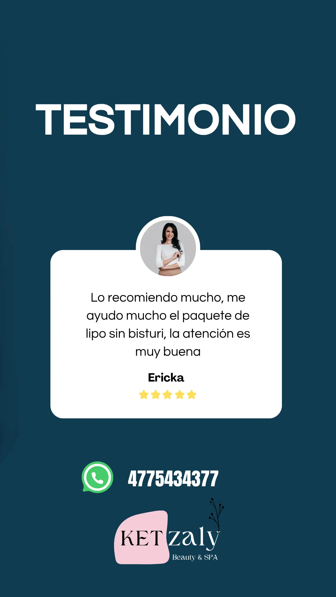 Diseño 135