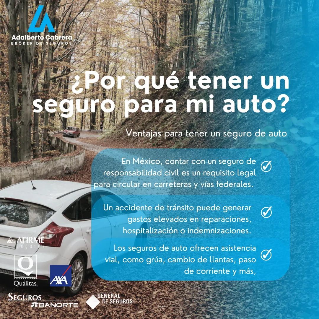 Diseño 12