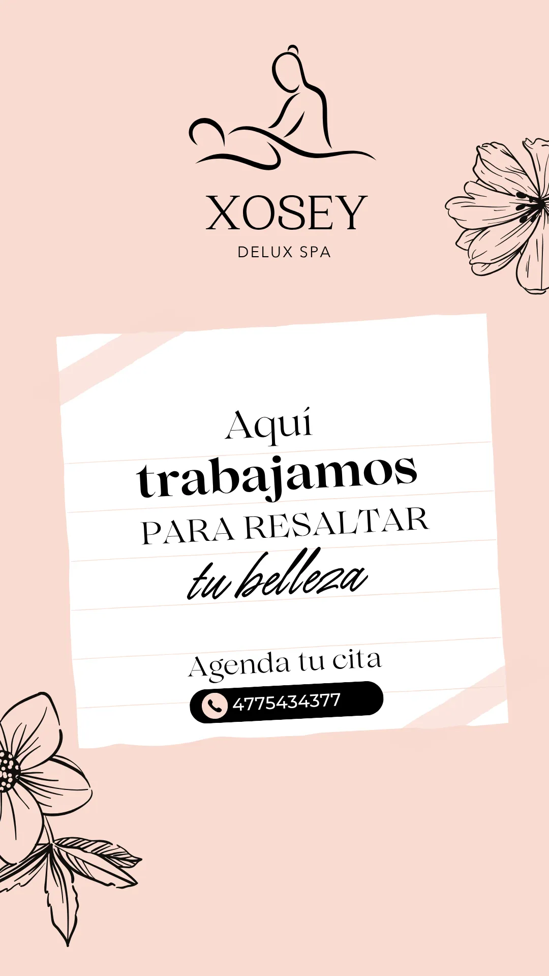 Diseño 11