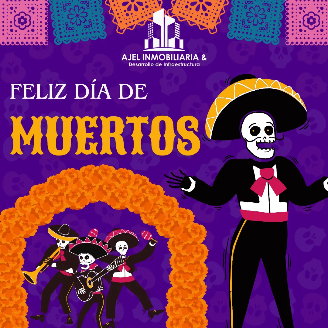 Diseño 55