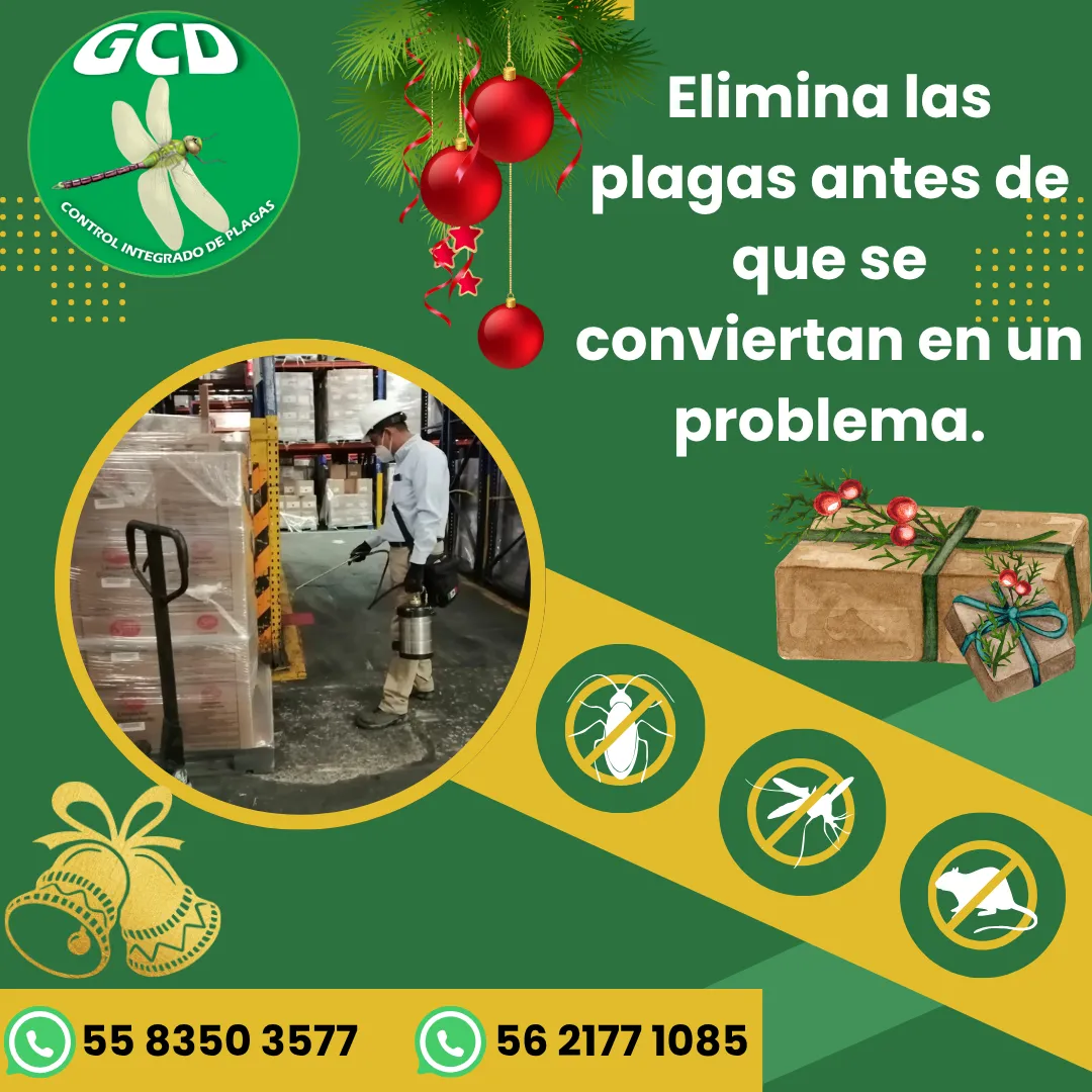 Diseño 16
