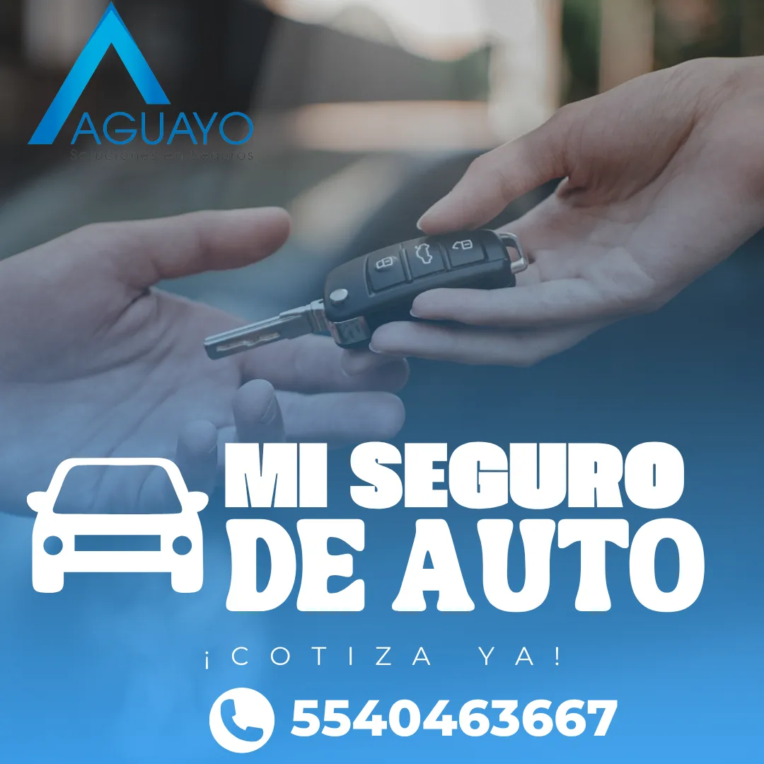 Diseño 16