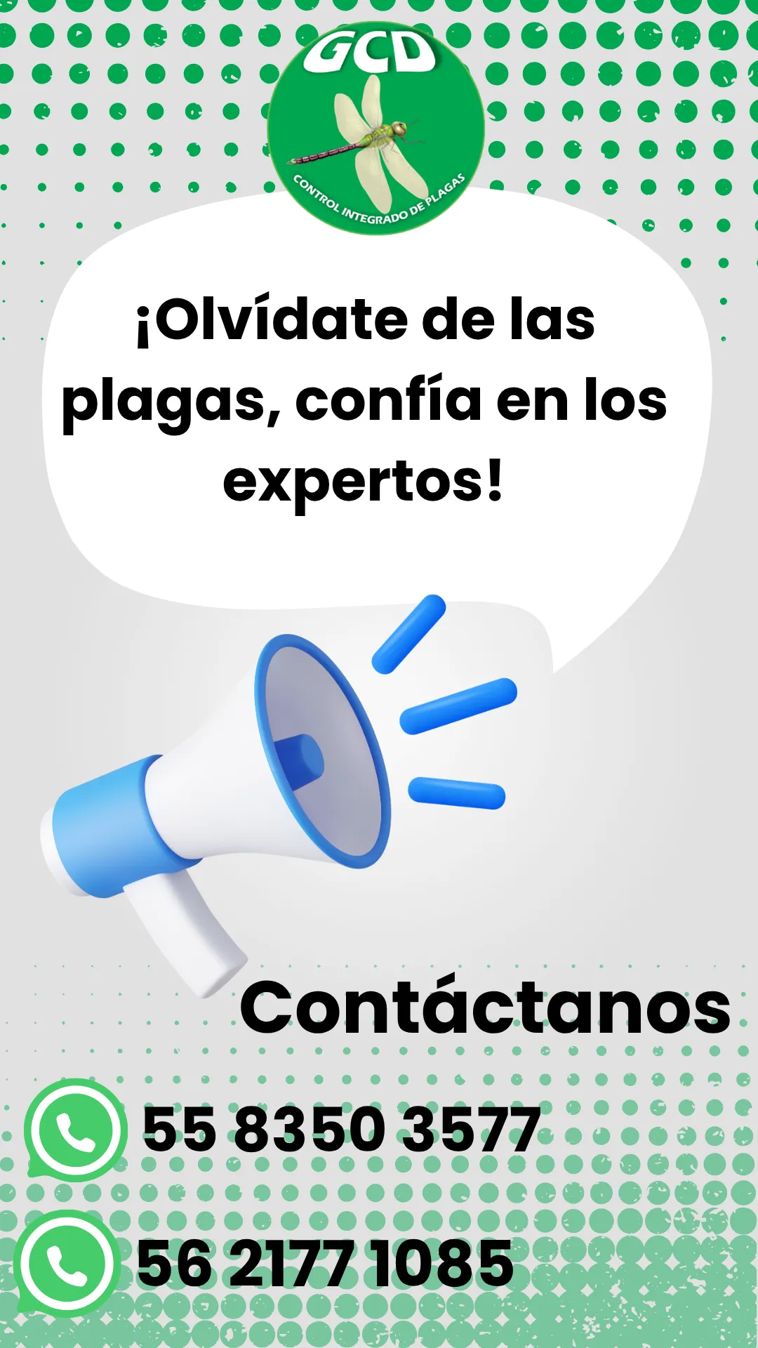 Diseño 51