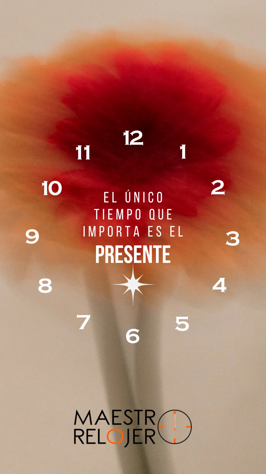 Diseño 86