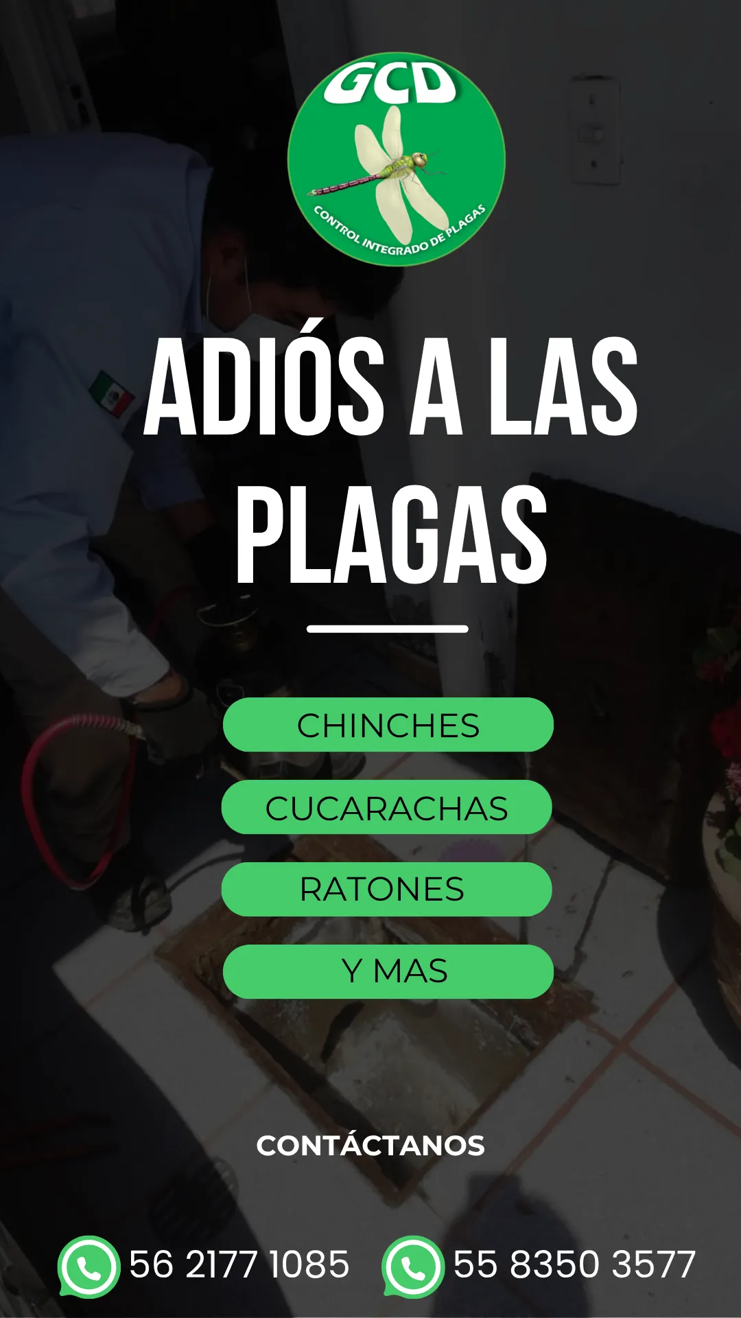 Diseño 25