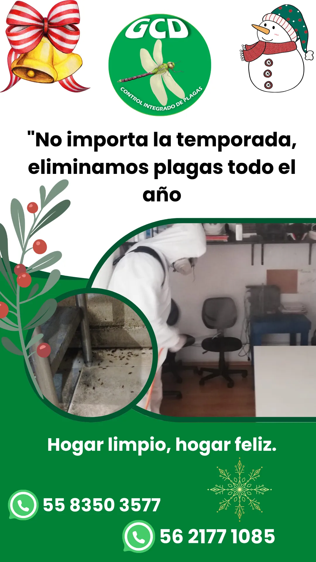 Diseño 7