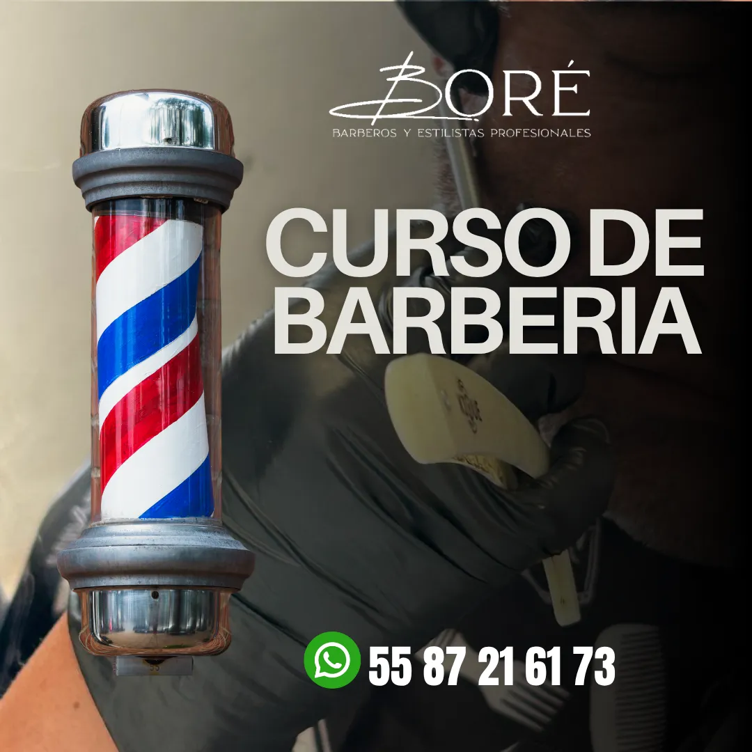 Diseño 6