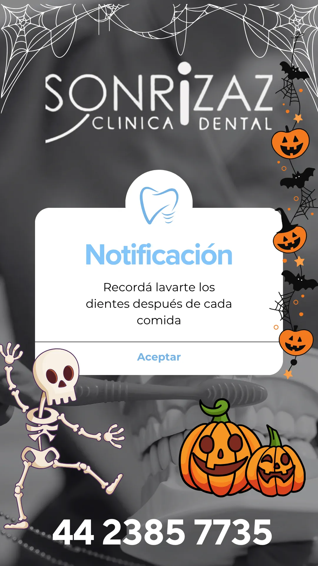 Diseño 138