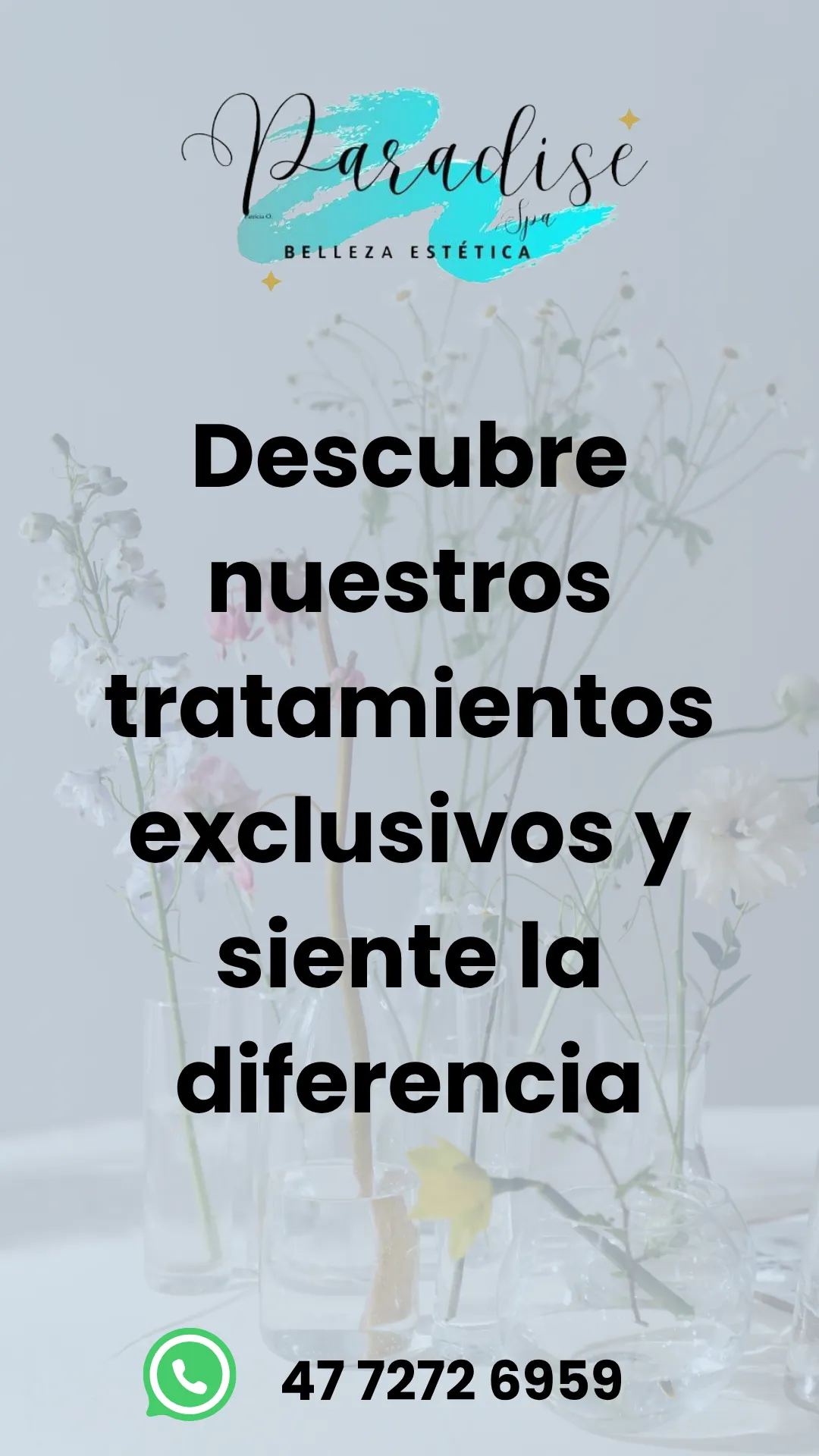 Diseño 81