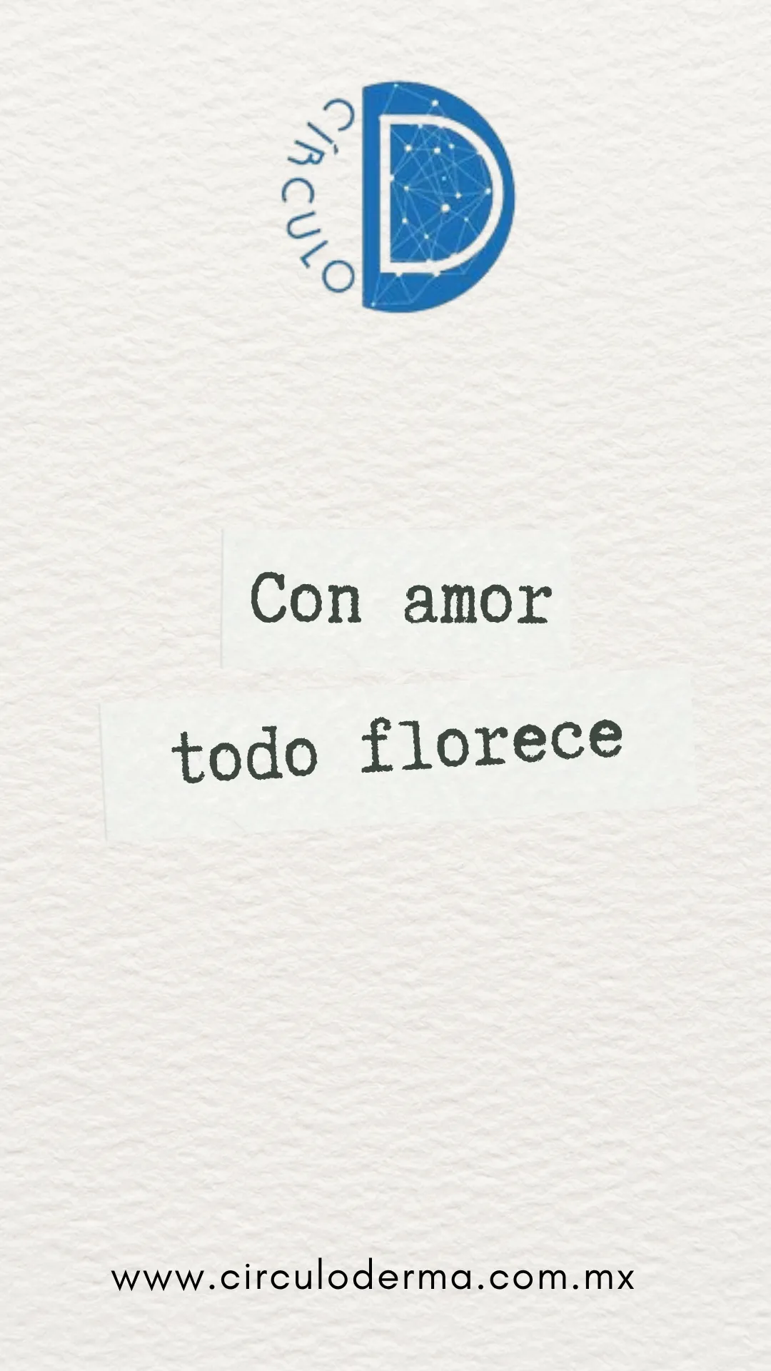 Diseño 56