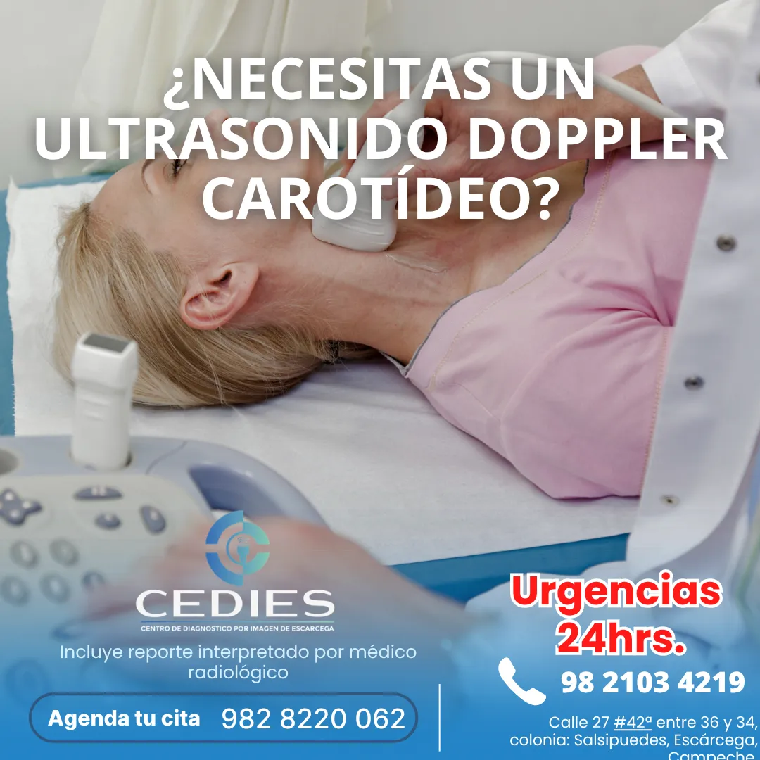 Diseño 6