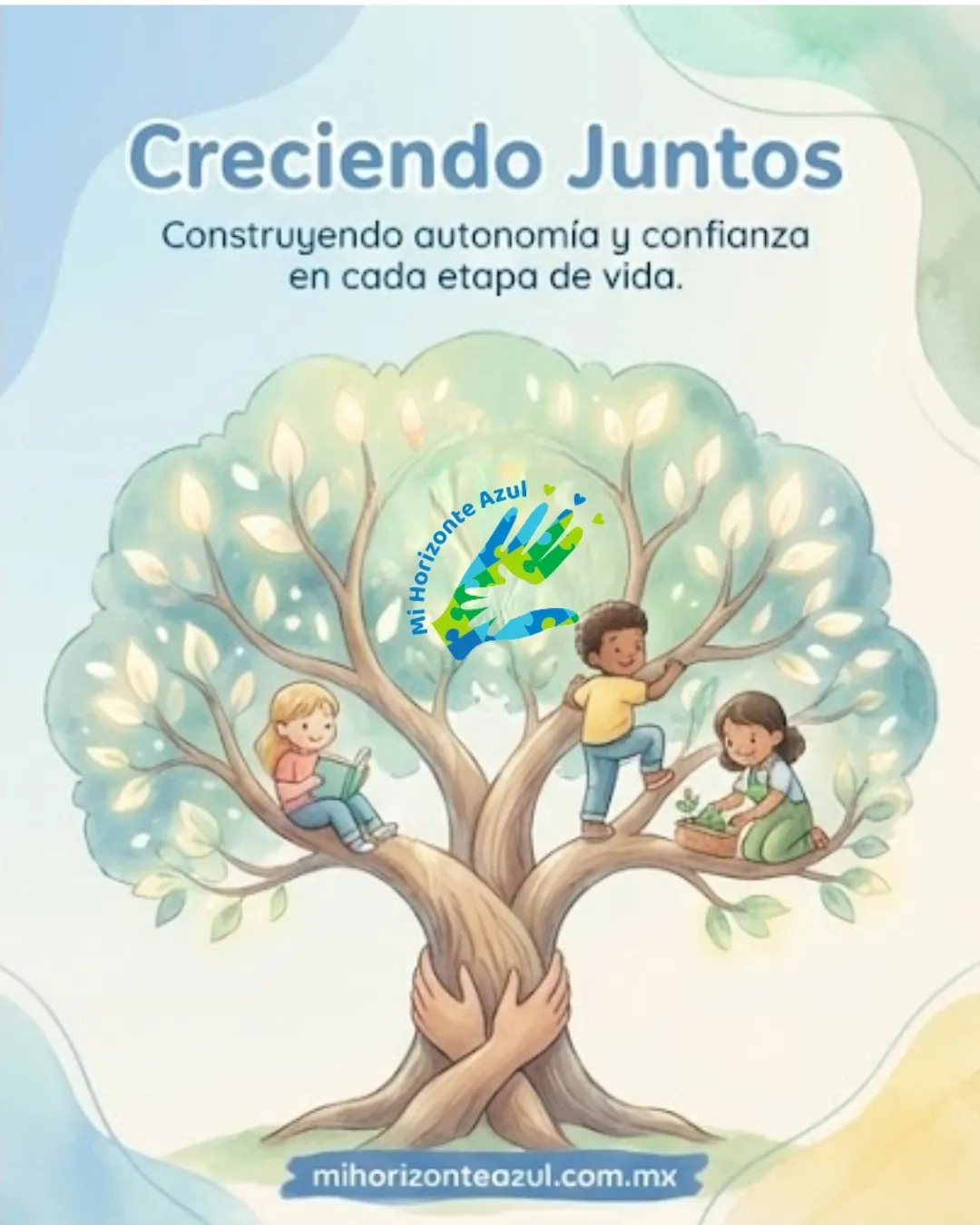 Diseño 51