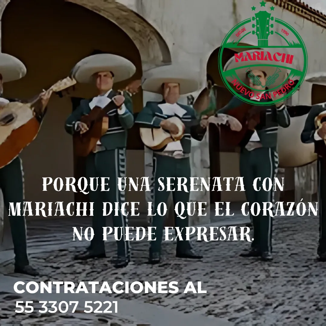 Diseño 43