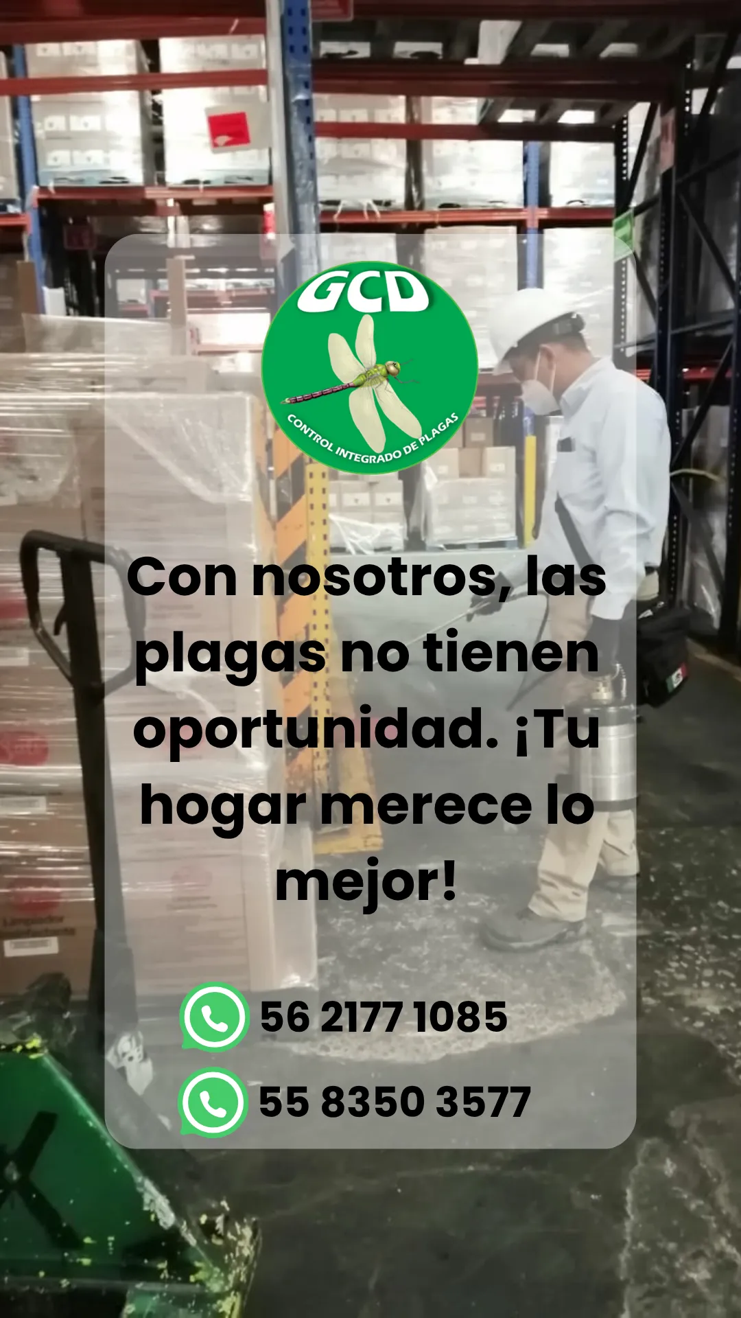 Diseño 95