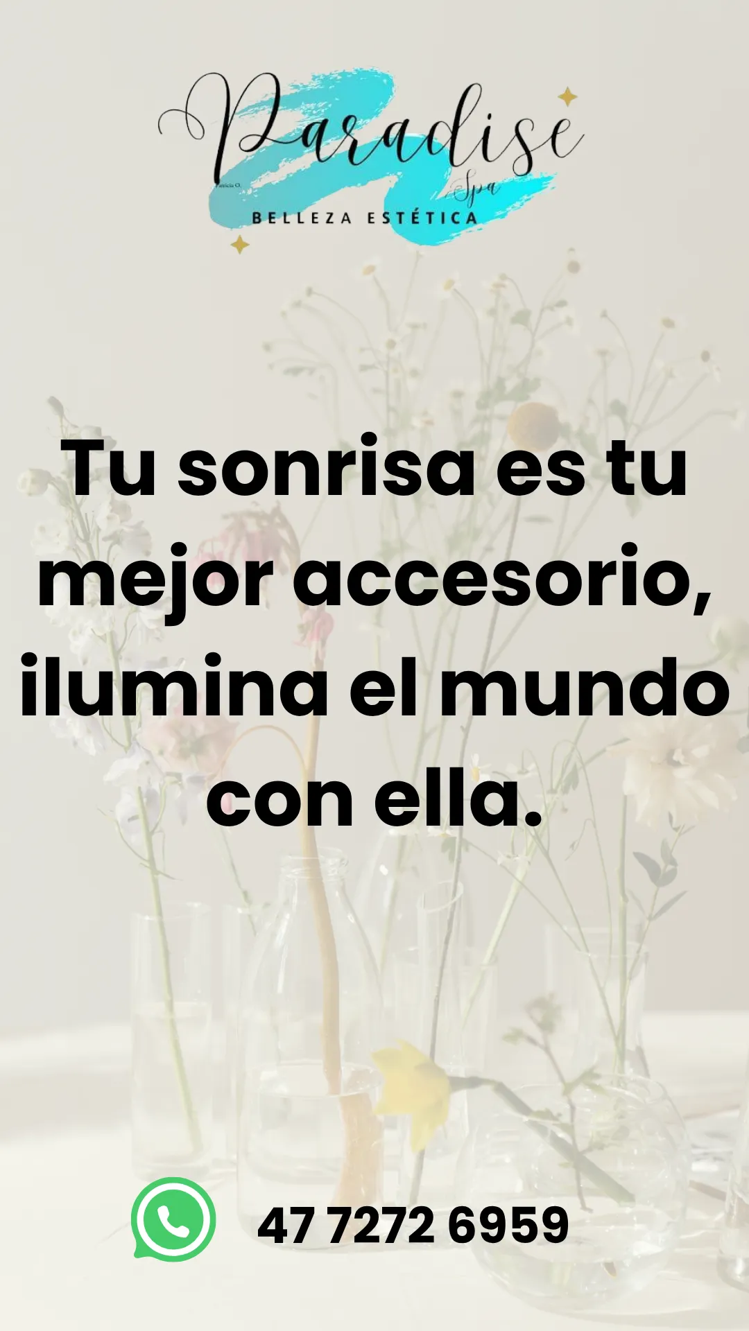 Diseño 65