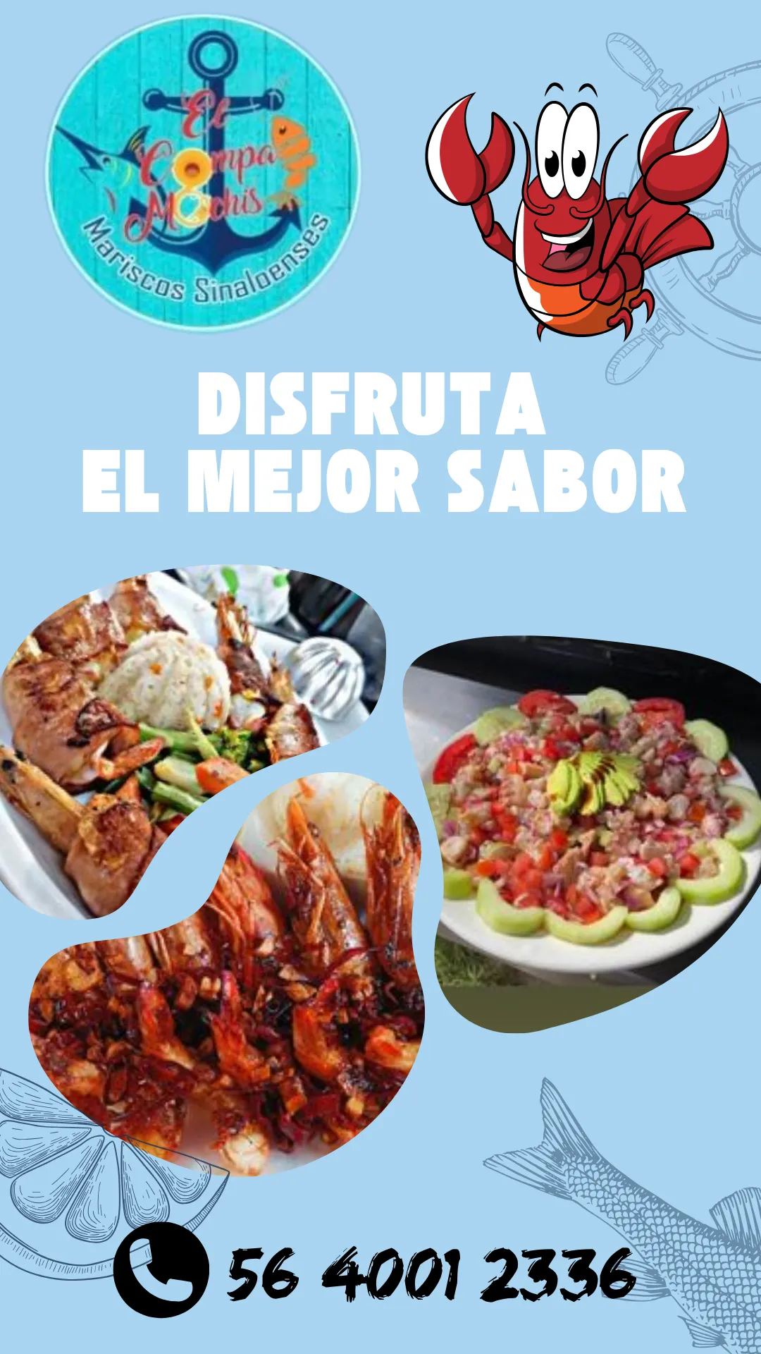 Diseño 5