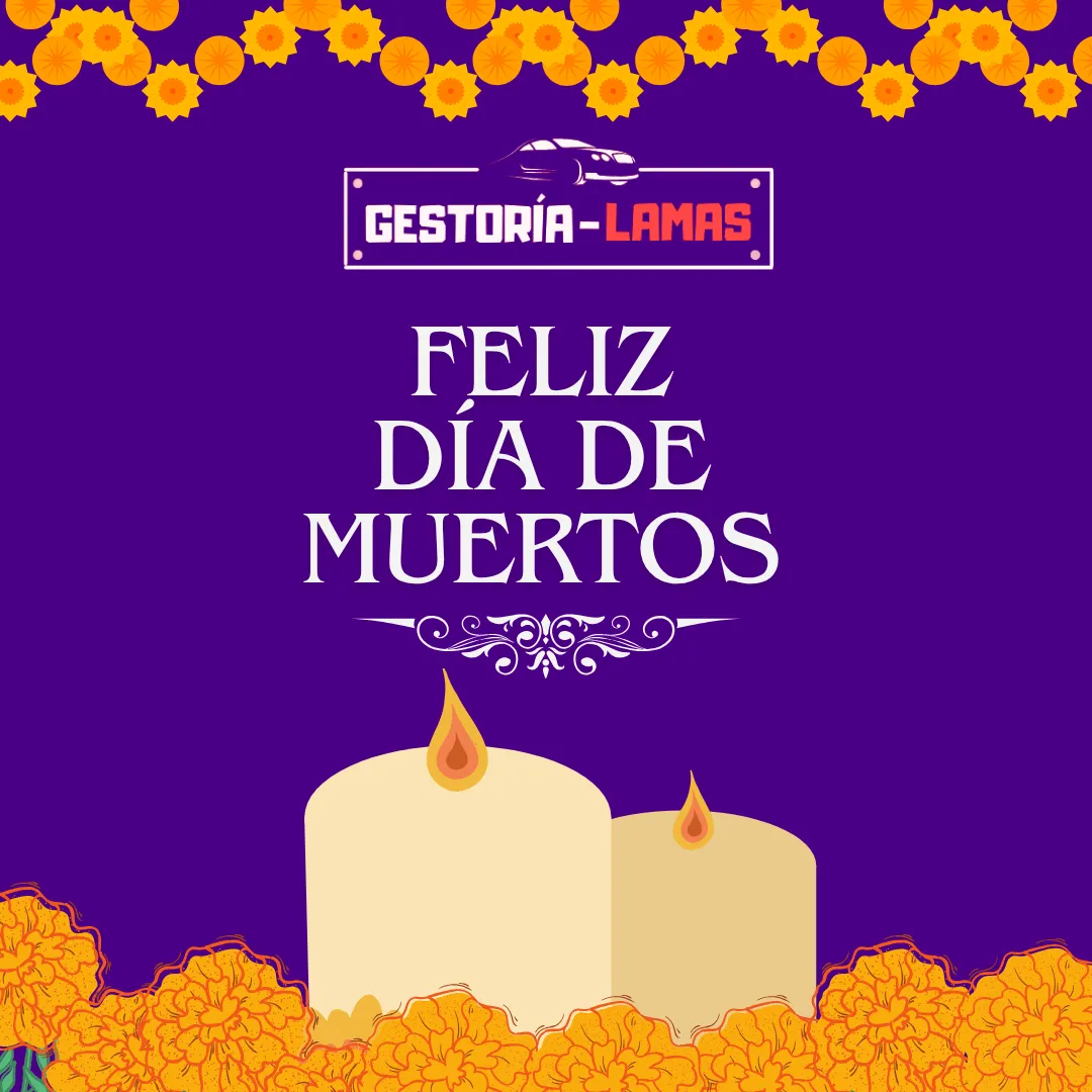 Diseño 142