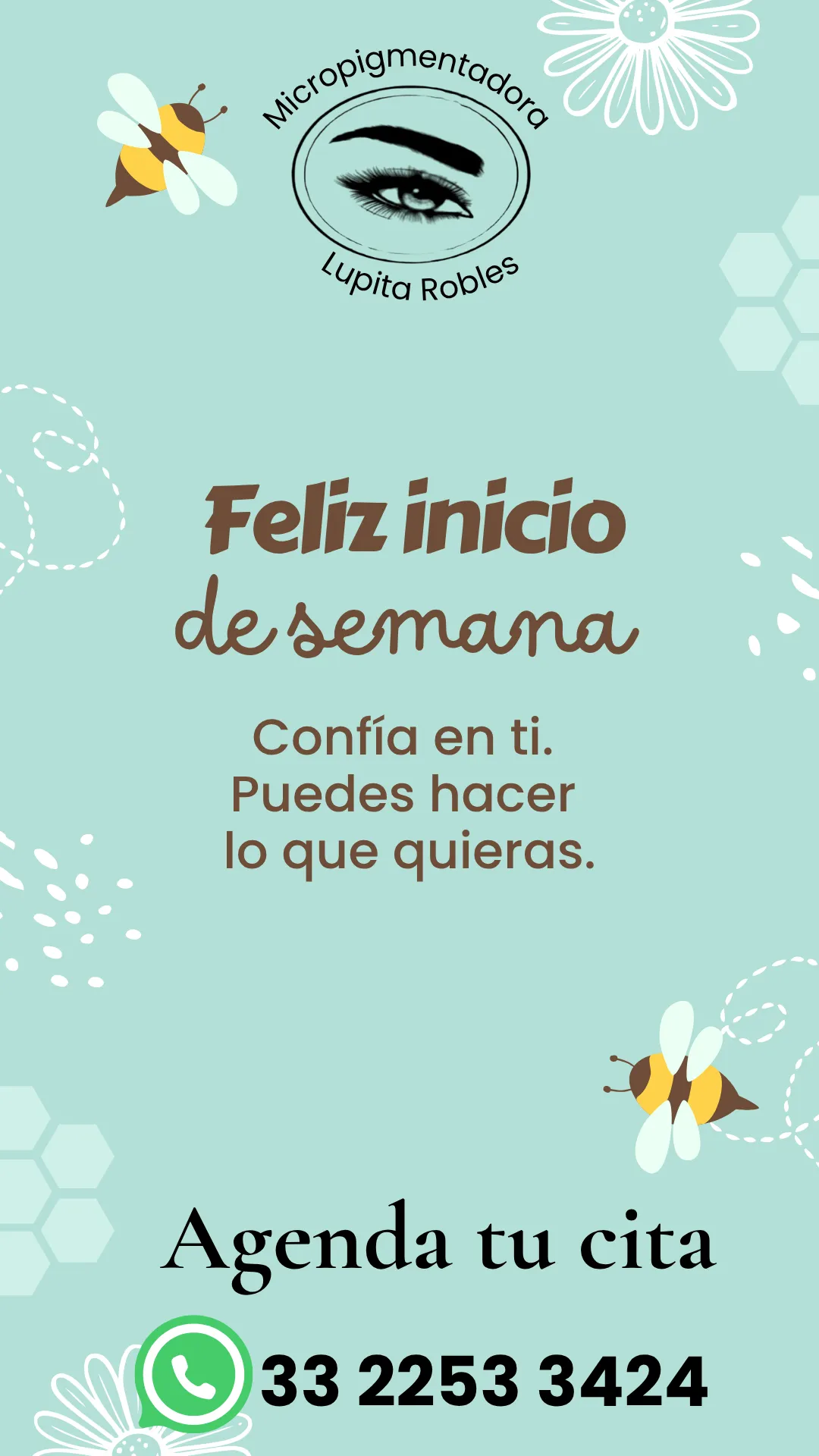 Diseño 61