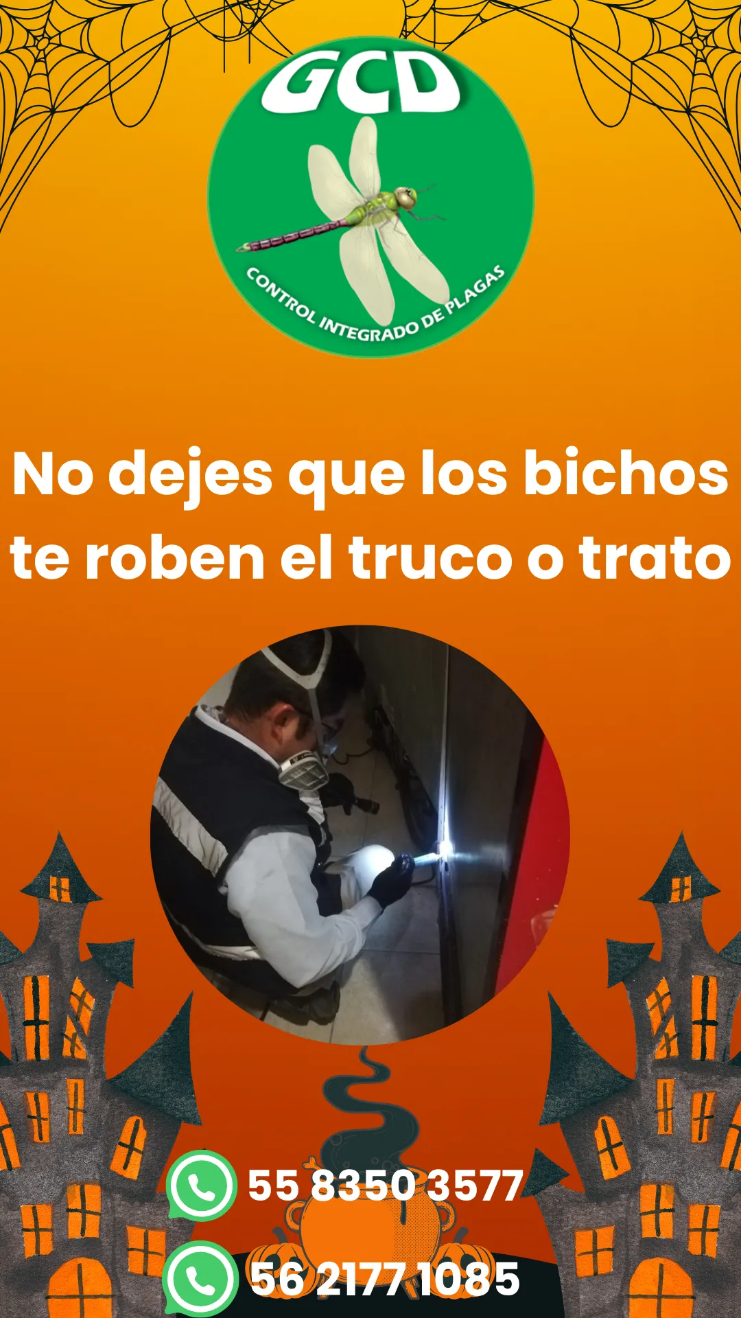 Diseño 117