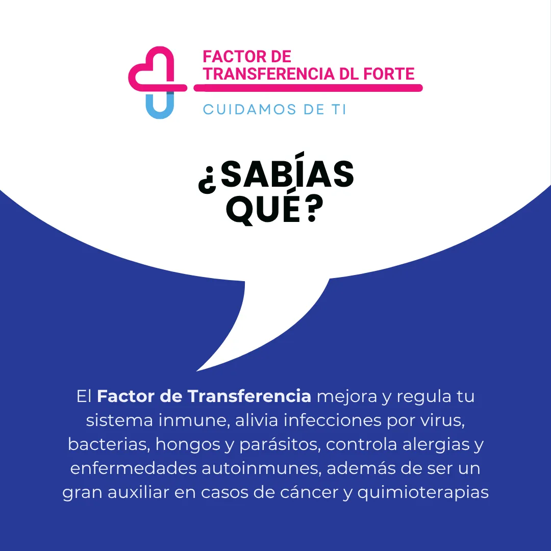 Diseño 6