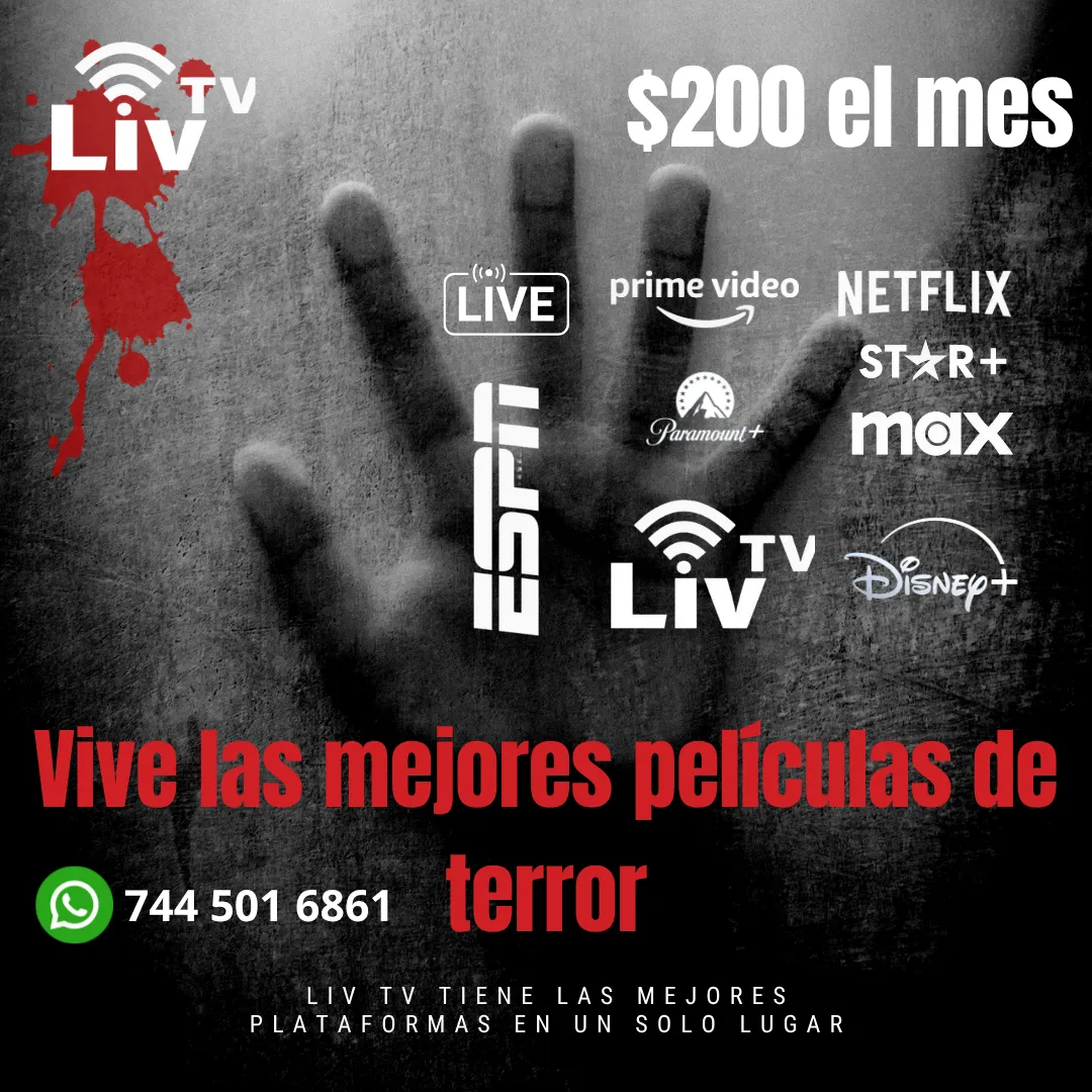 Diseño 26