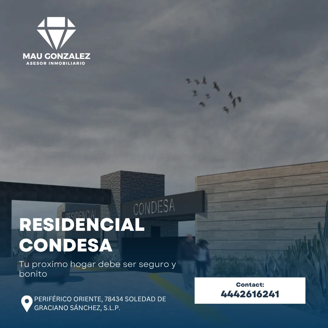 Diseño 50