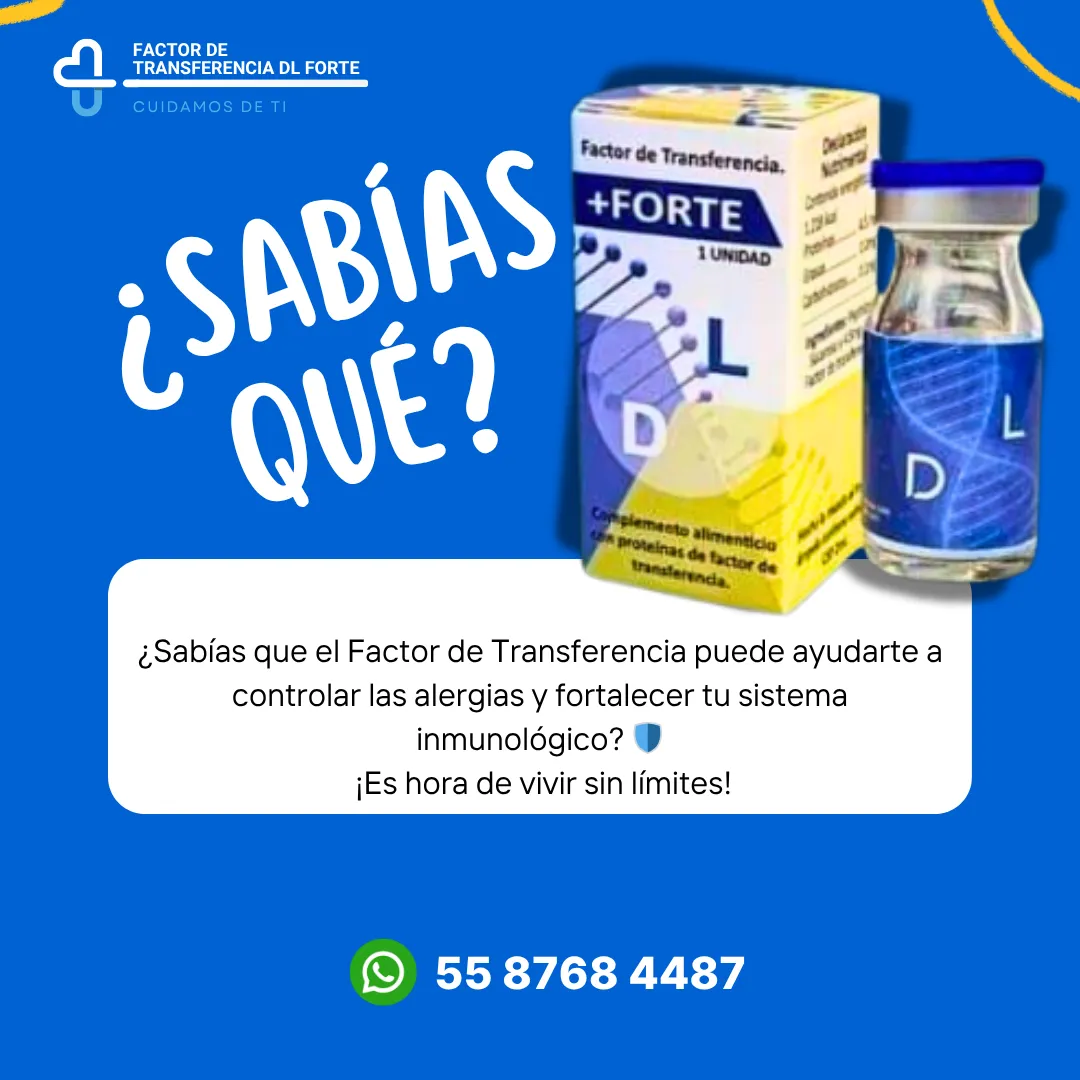 Diseño 16