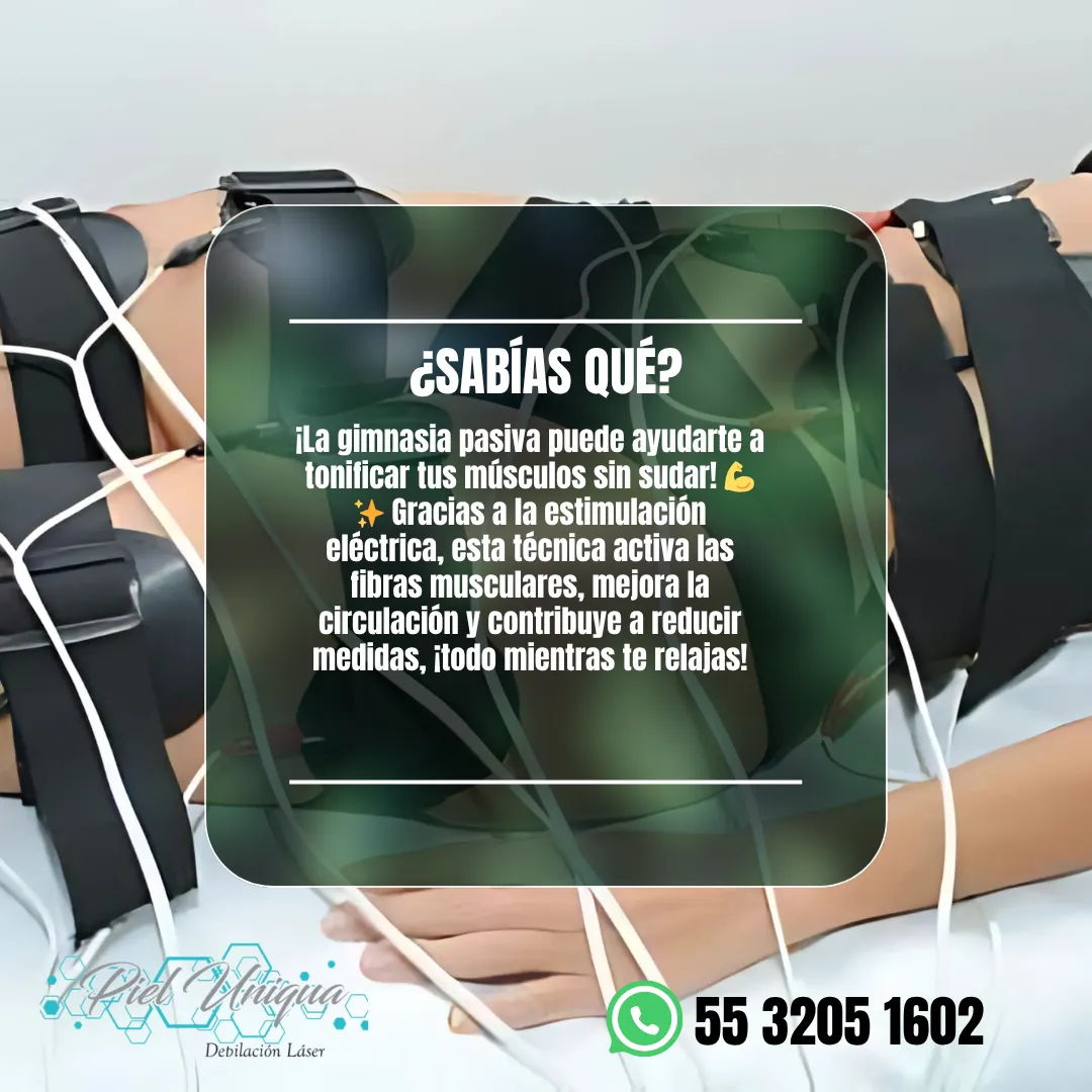 Diseño 37
