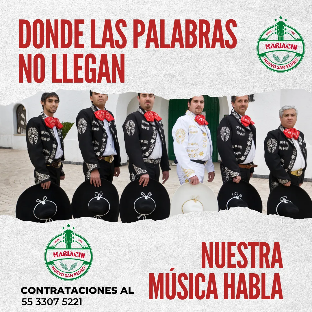 Diseño 33