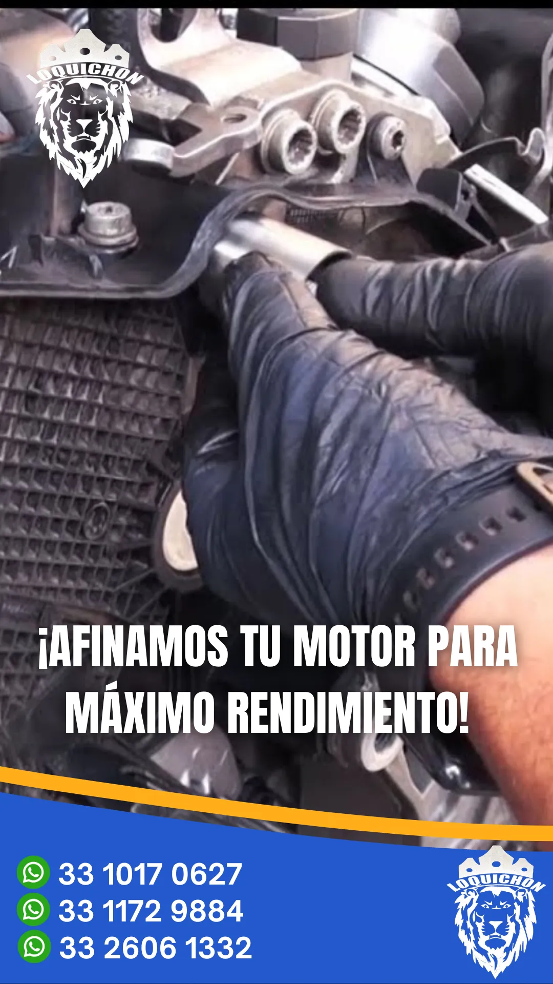 Diseño 41