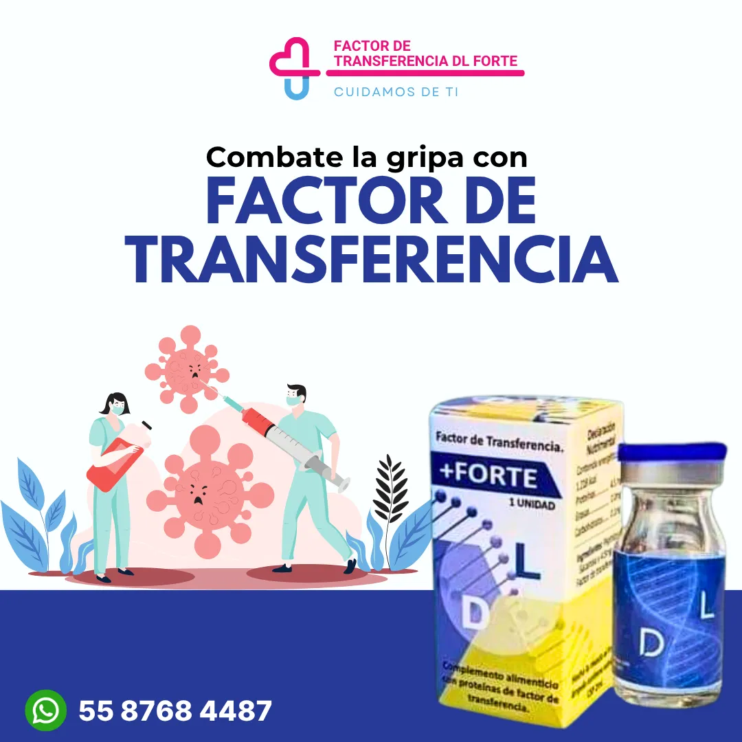 Diseño 4