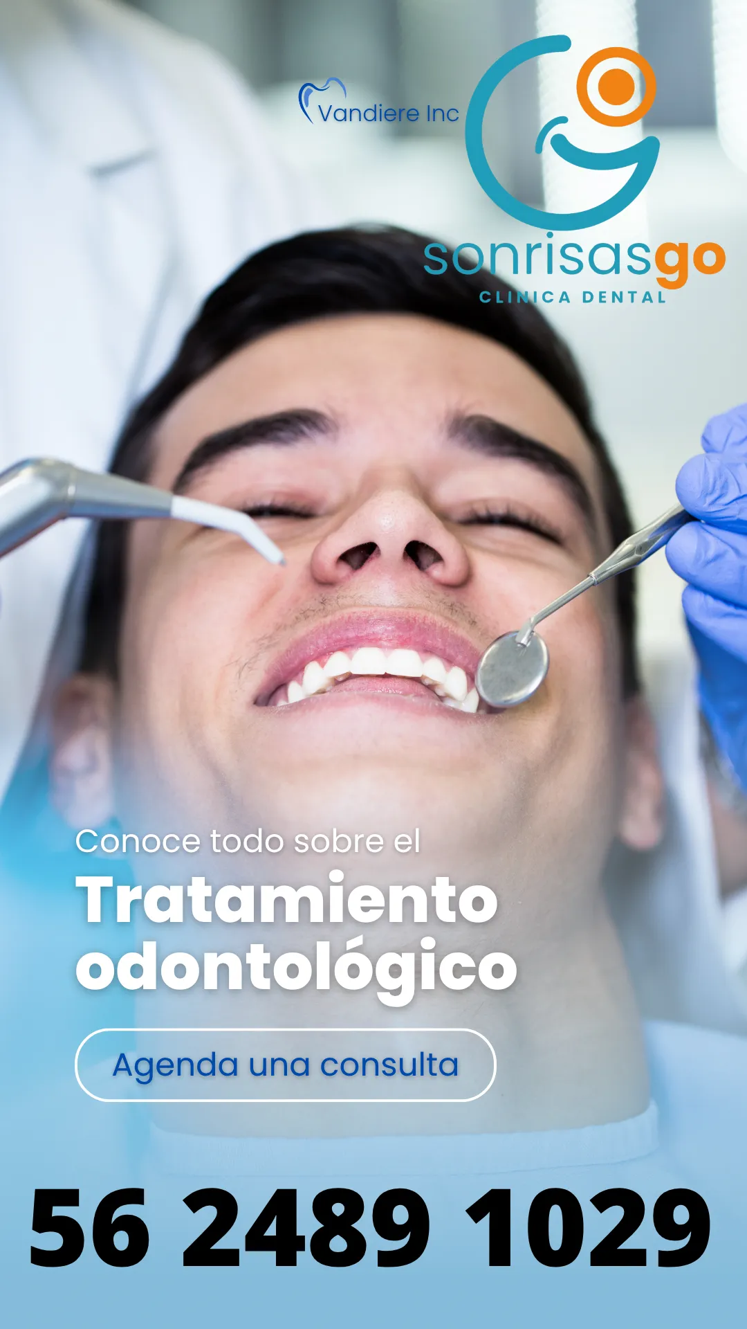 Diseño 6