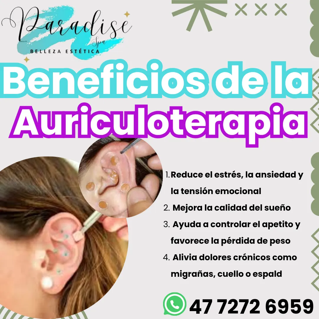 Diseño 65